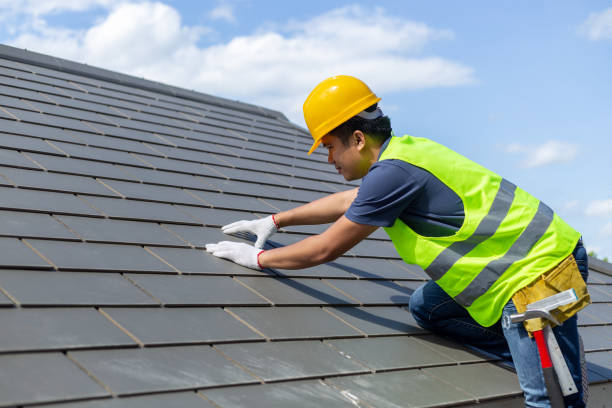 Best Roof Gutter Cleaning  in Hernando, FL
