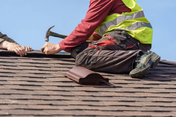 Best Shingle Roofing Installation  in Hernando, FL