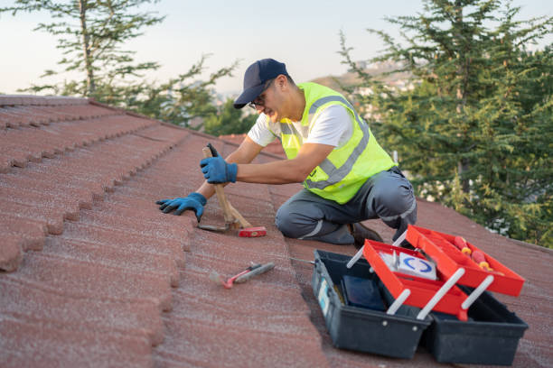 Best Emergency Roof Repair  in Hernando, FL